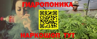 шишки Можайск